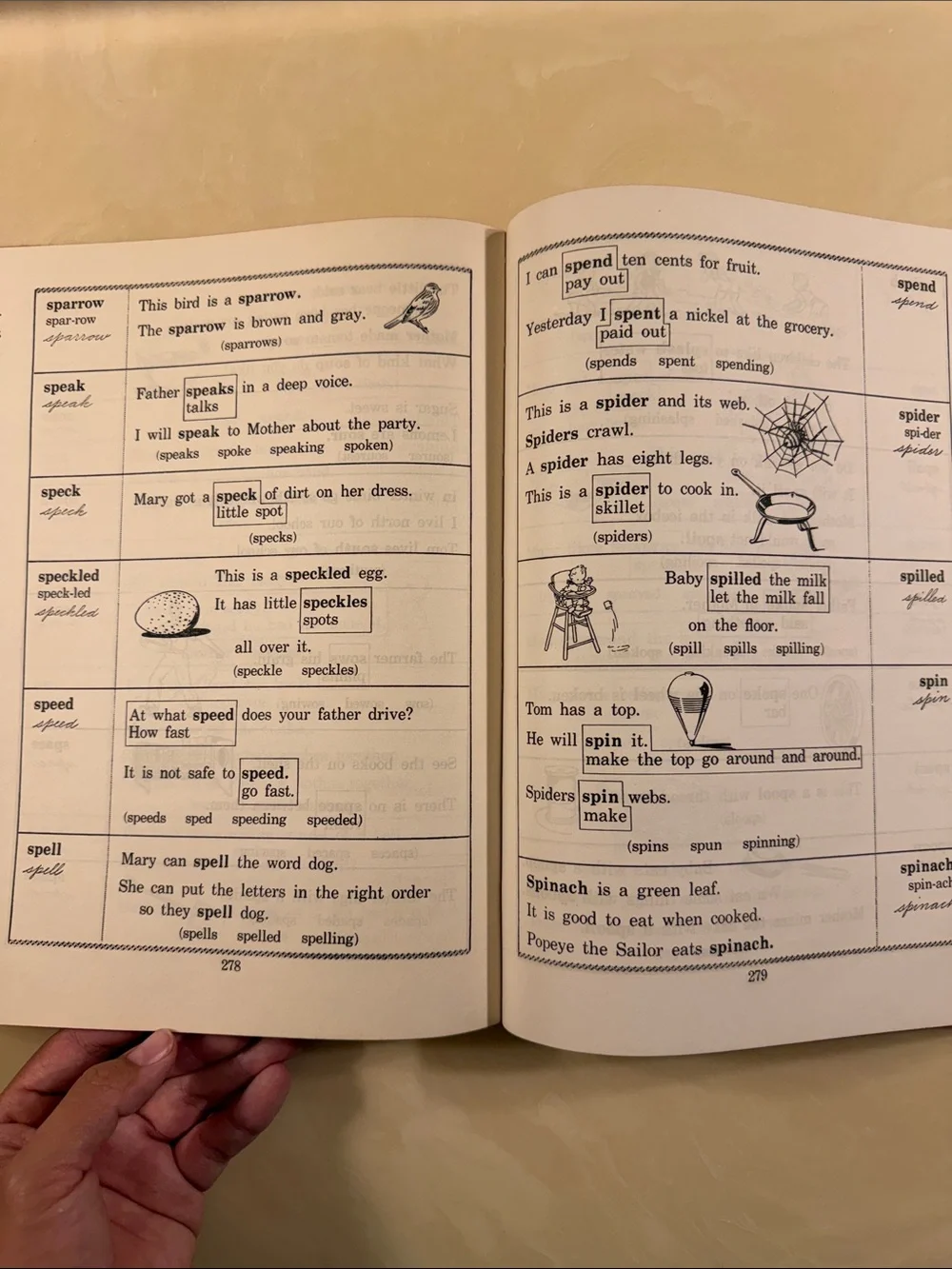 Vintage -The Picture Dictionary for Children